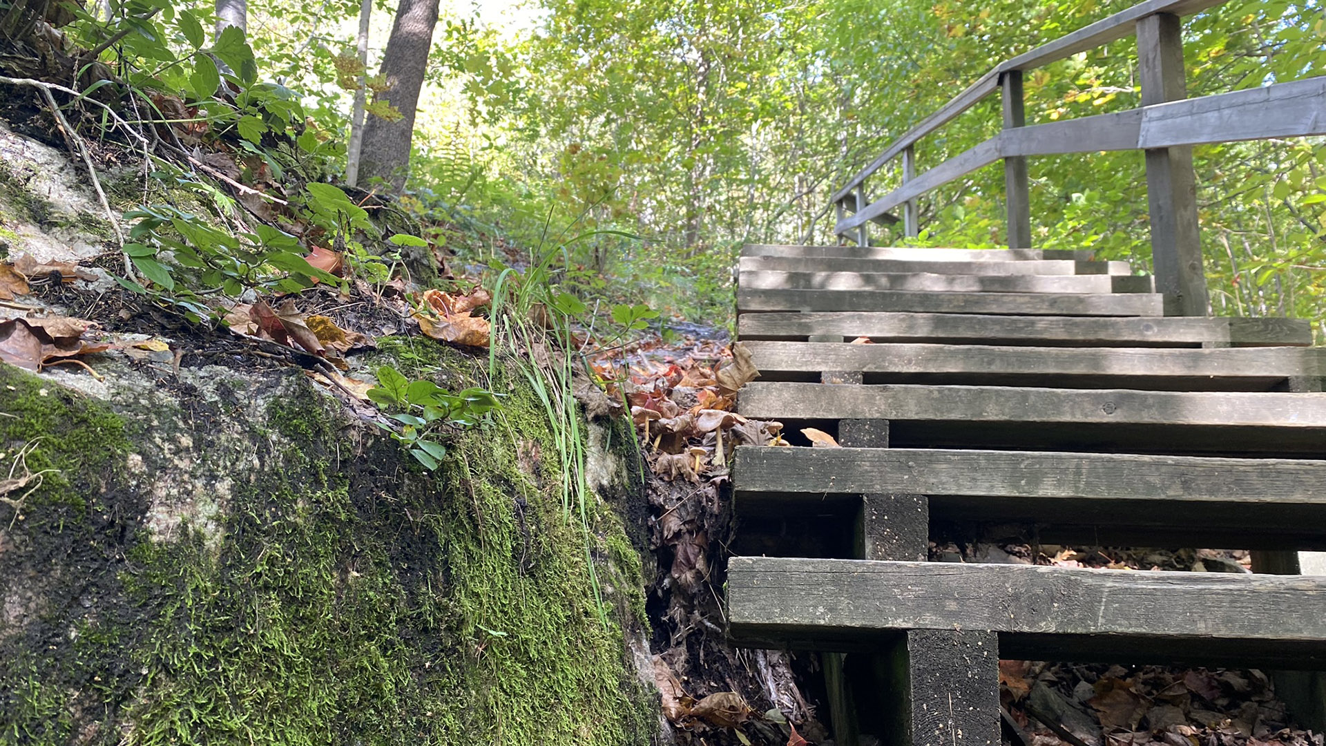 Trappan upp mot Norra Berget. Foto: Norra Berget.