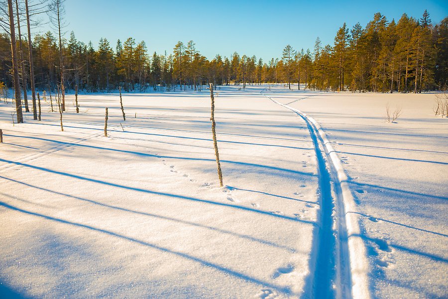 Skidspår som sträcker sig igenom ett snötäckt öppet landskap i skogen.