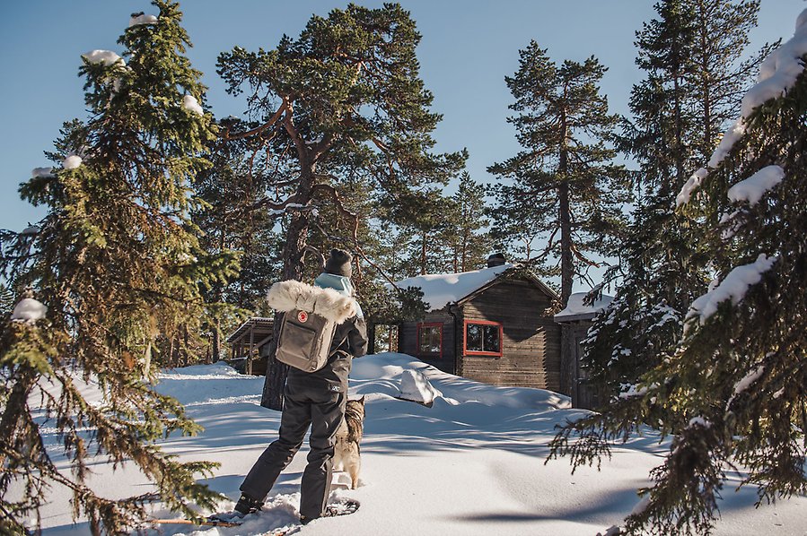 Fotografi av en personer som går med snöskor i snön på väg till en stuga. Framför sig har personen en hund i koppel.